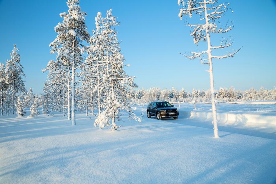  Skoda Kodiaq Scout 2017 года  (WW) (фото 25 из 61)
